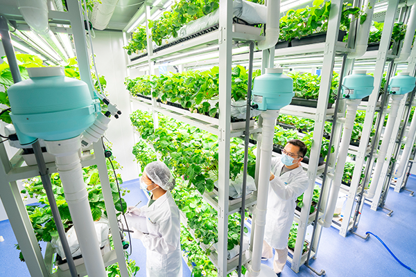 吉林省优正科技物联网云平台建设全景规划与实施路径——基于现有业务架构的深度整合与智能化升级战略