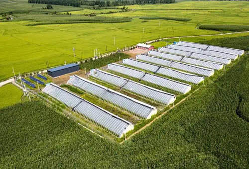 溯本正源，智质兴农：吉林省优正科技携手吉林省溯质农业，重塑农业科技管理数字化新标杆
